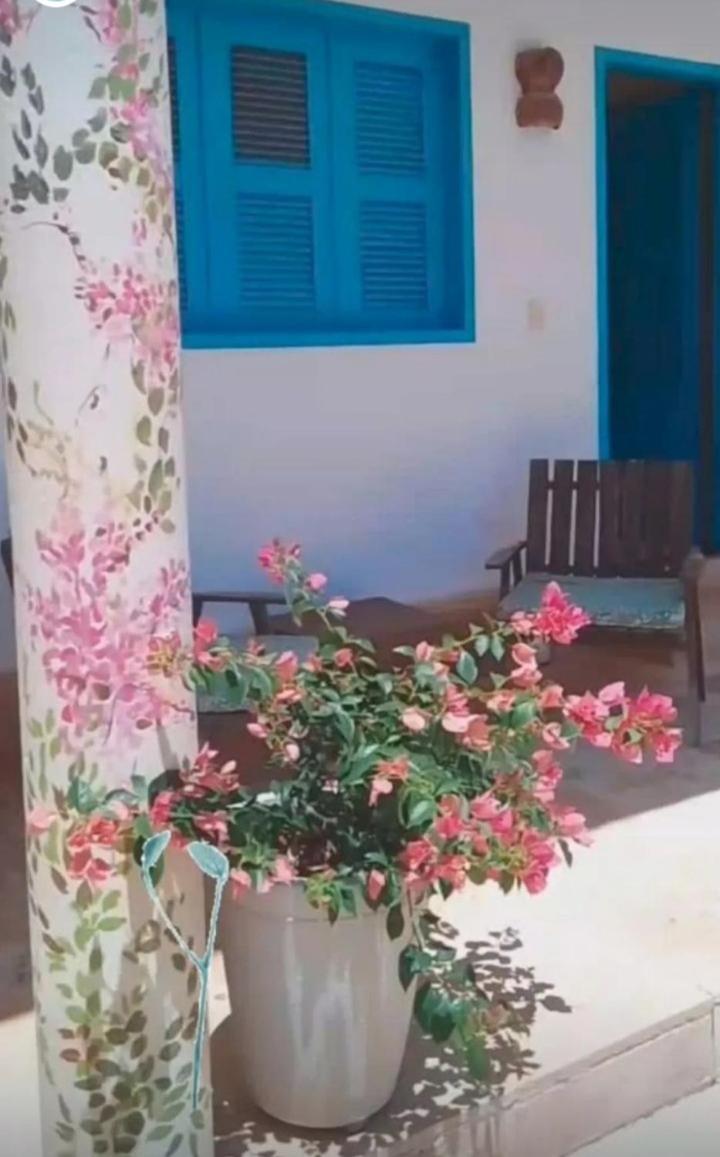 Recidencial Vila Pura Vida Canoa Quebrada Exterior photo